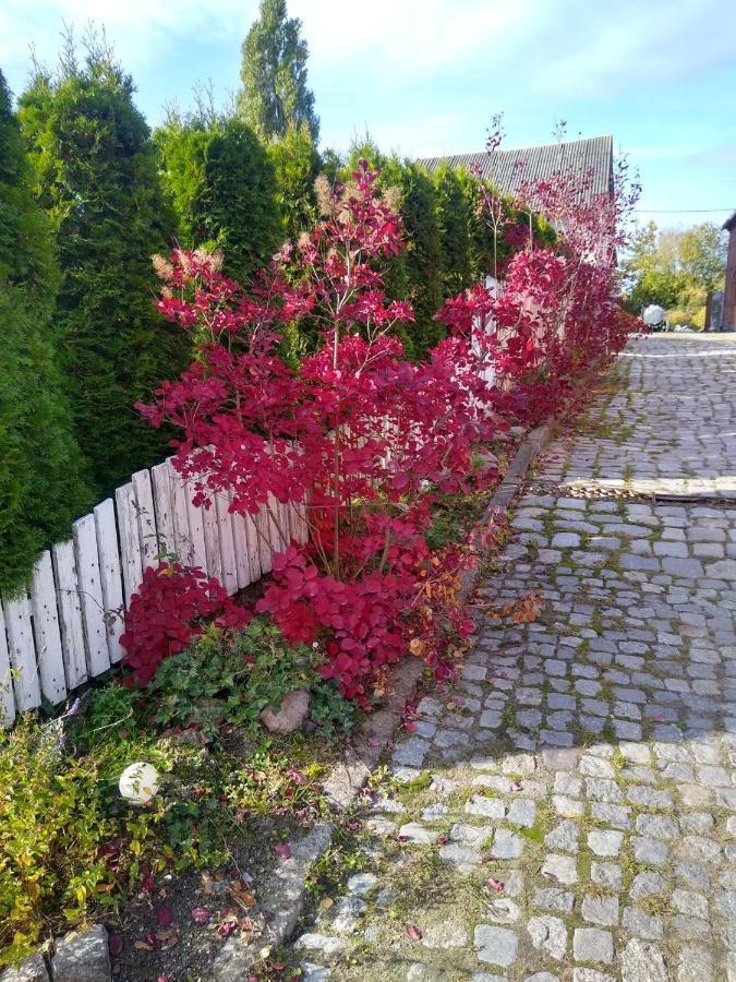 Zajazd Eljan-Centrum Noclegowe Olsztyn  Extérieur photo